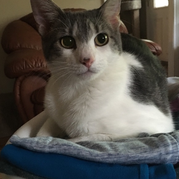 Meet your Posher, Donna - Picture 2 of 2